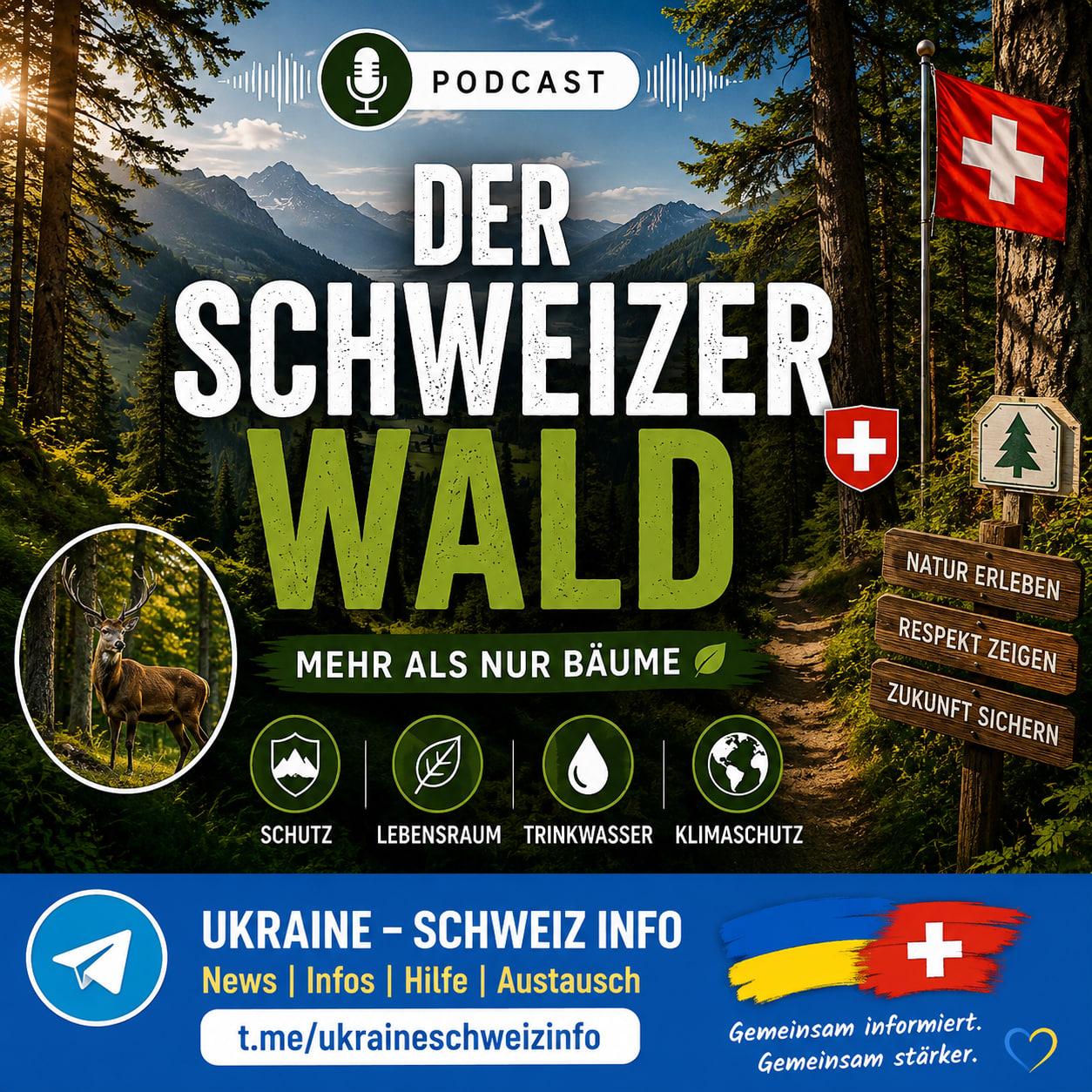 Zum Vergrössern anklicken Der Schweizer Wald